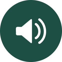 SWM audio icon